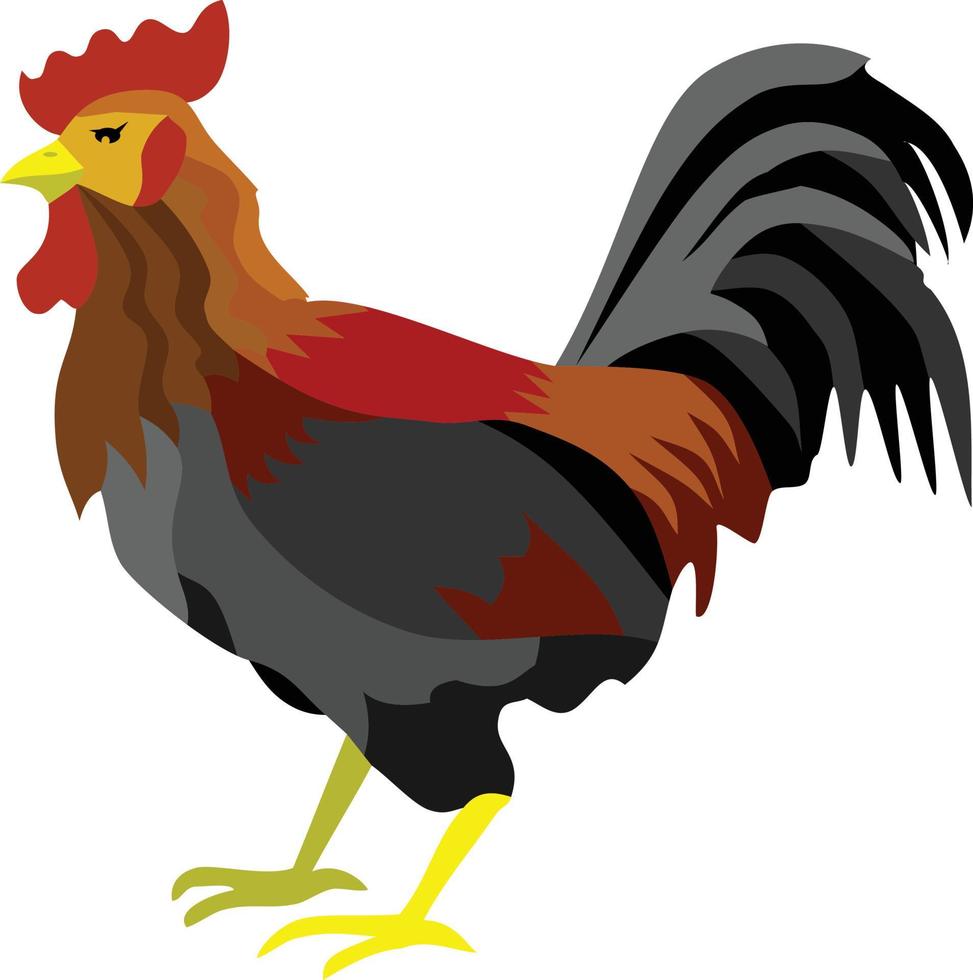 Cock Rooster Animal Vector