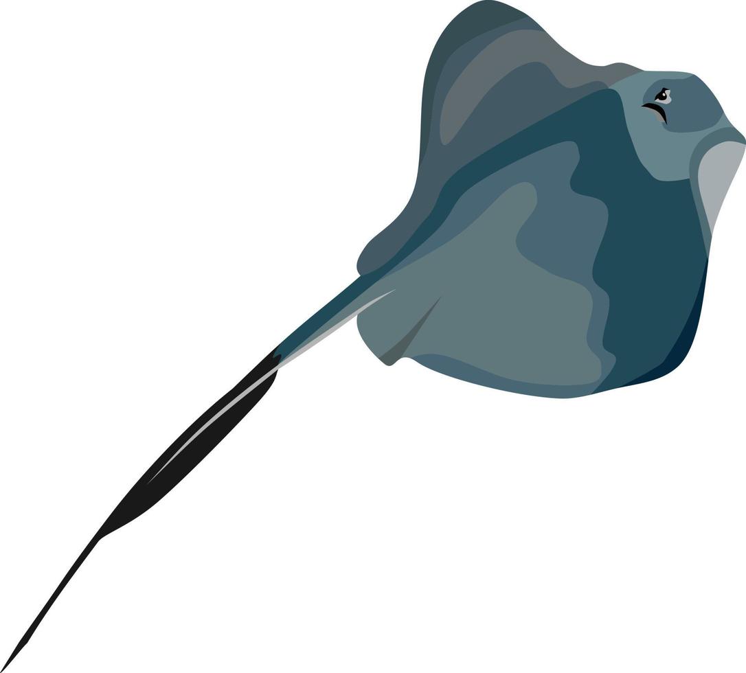 Stingray Fish Animal Vector