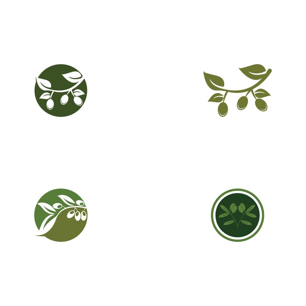 olive icon vector illustration