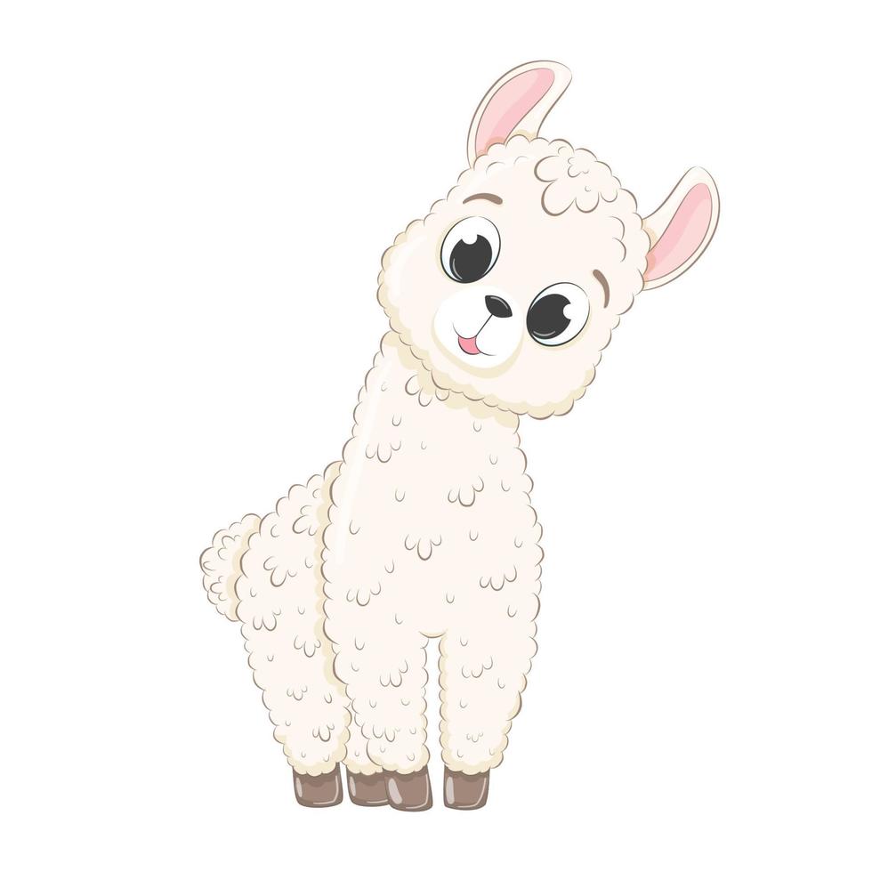 llama linda bebé. ilustración vectorial en estilo de dibujos animados. vector