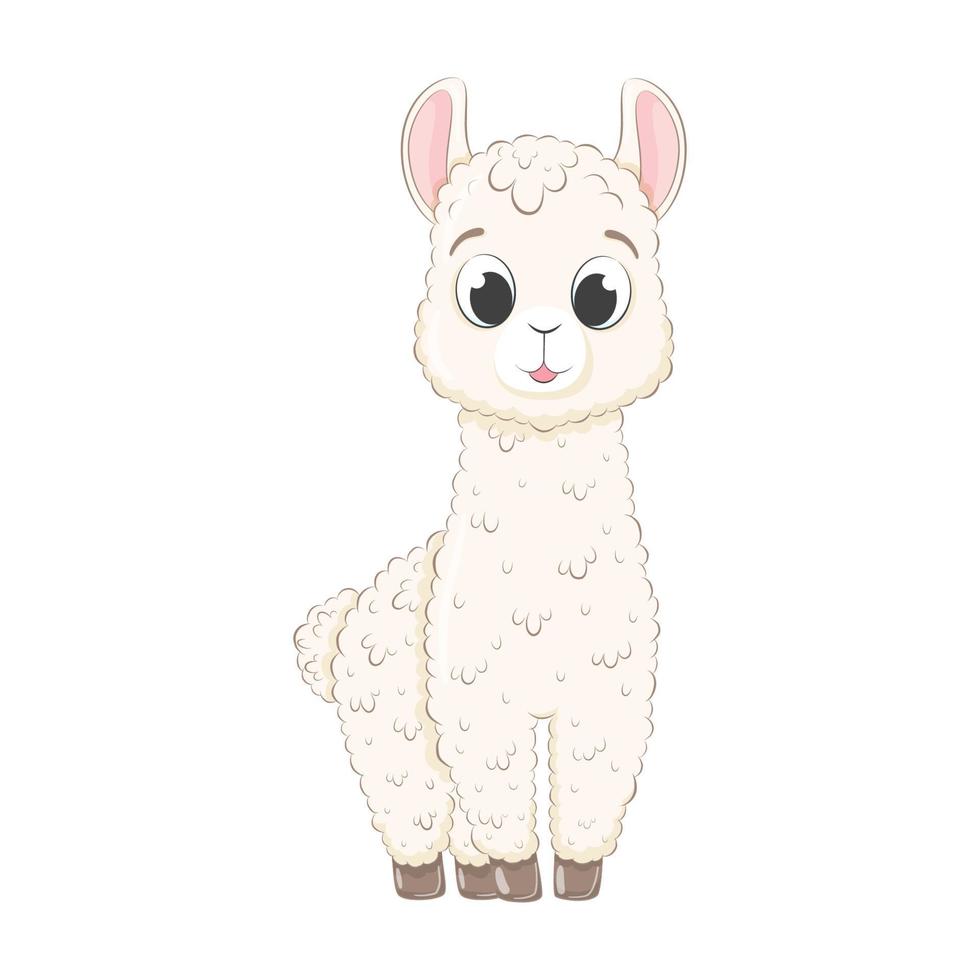 Cute baby llama. Vector illustration in cartoon style.