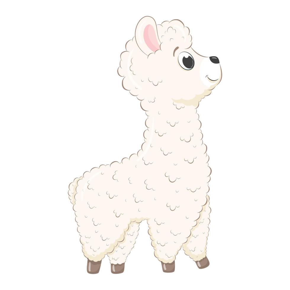 Cute baby llama. Vector illustration in cartoon style.