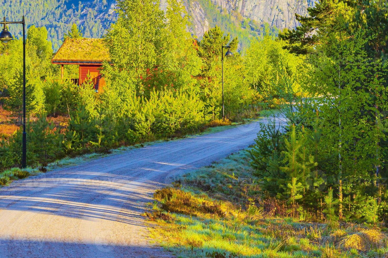 amanecer de la mañana con montañas cabañas naturaleza bosque paisaje nissedal noruega. foto