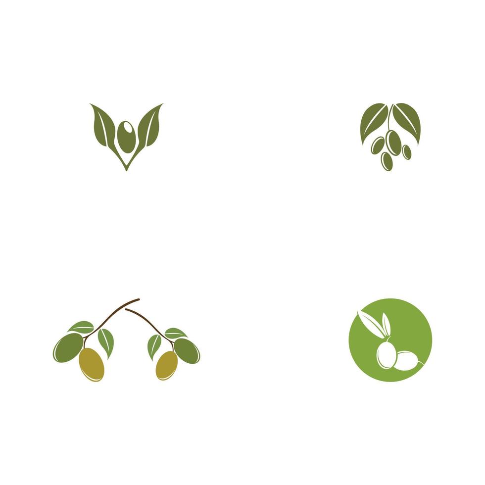 olive icon vector illustration