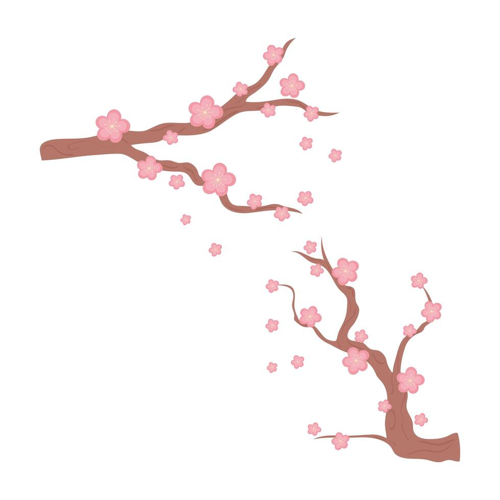ramas de flores de sakura vector