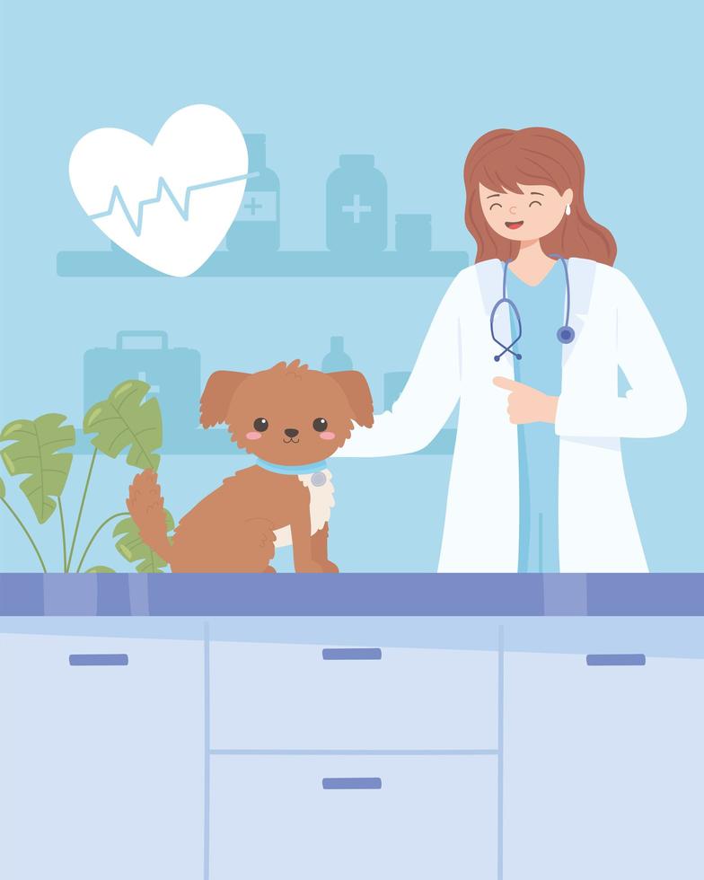 vet examines dog vector
