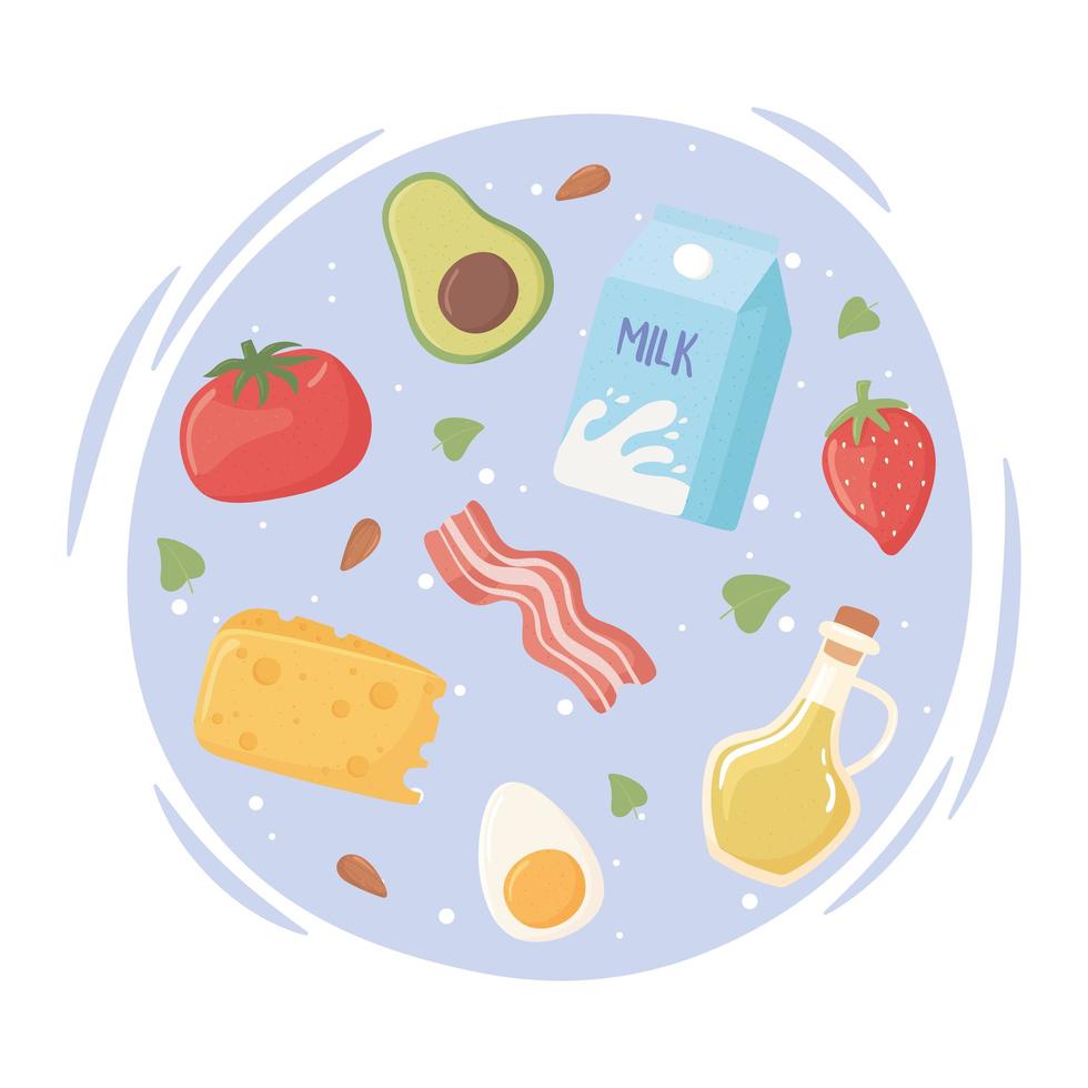 keto diet ingredients vector