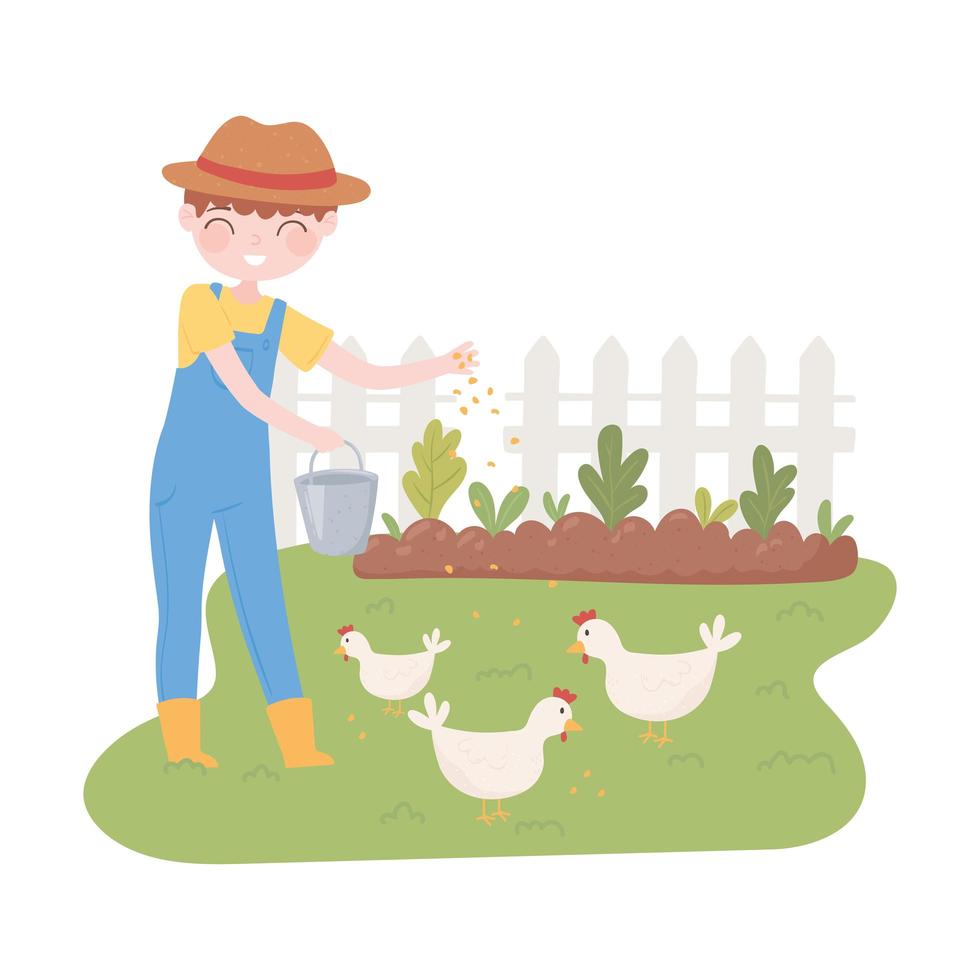 farmer feeding chickens vector