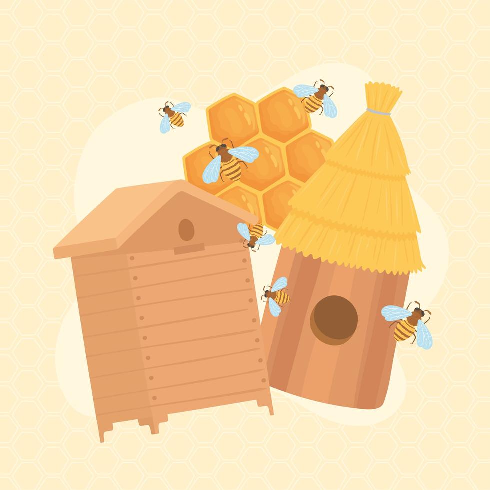 bees honeycombs honey vector