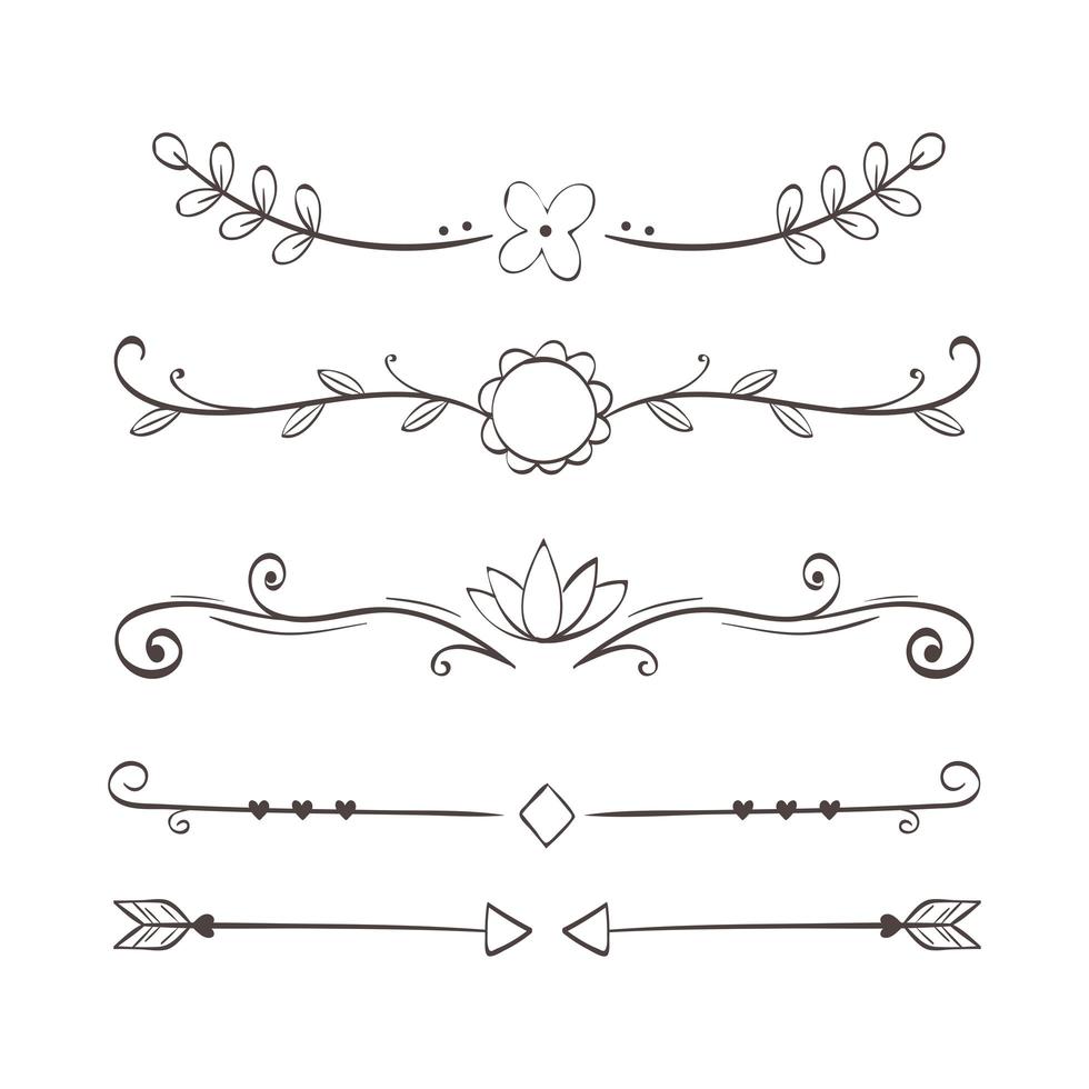 dividers ornamental flourishes vector