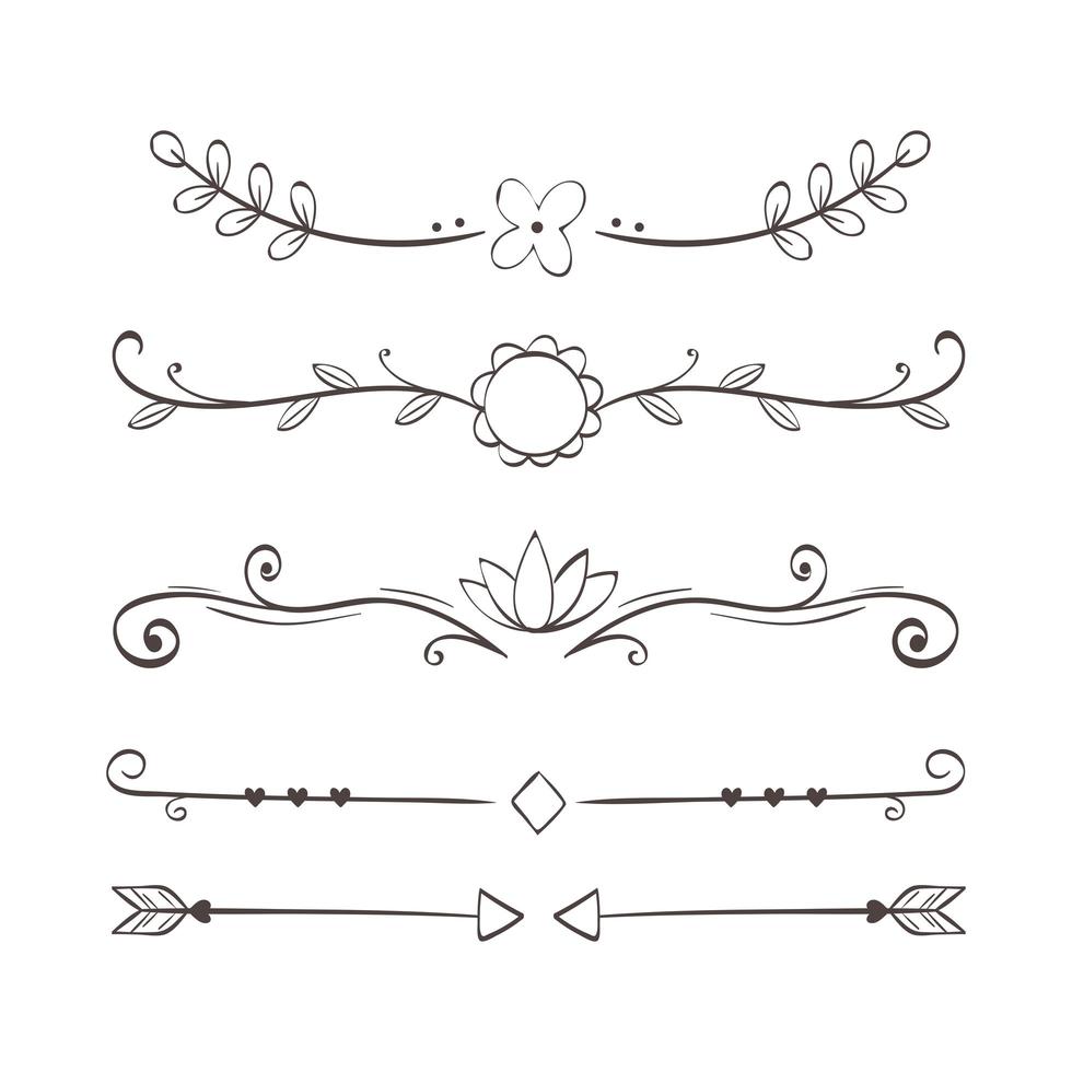 divisores ornamentales florituras vector