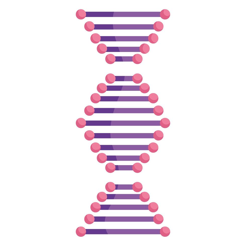 dna structure molecule vector