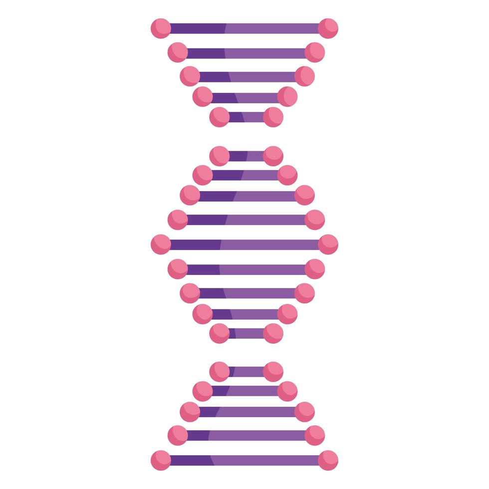 dna structure molecule vector