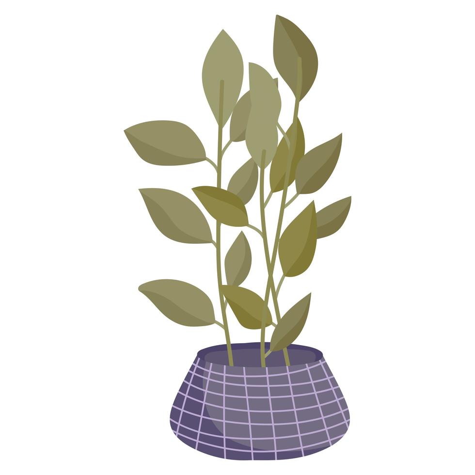 home plant in pot vector