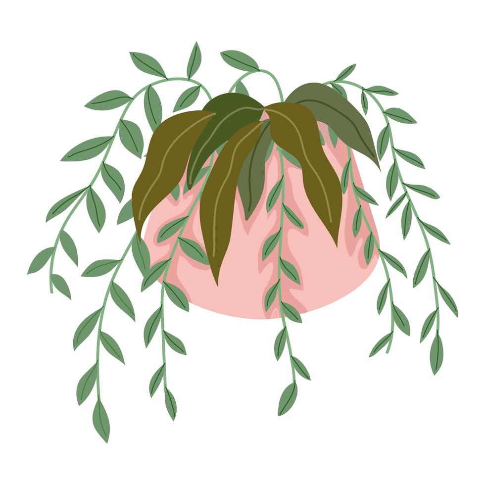 hanging plant in pot vector