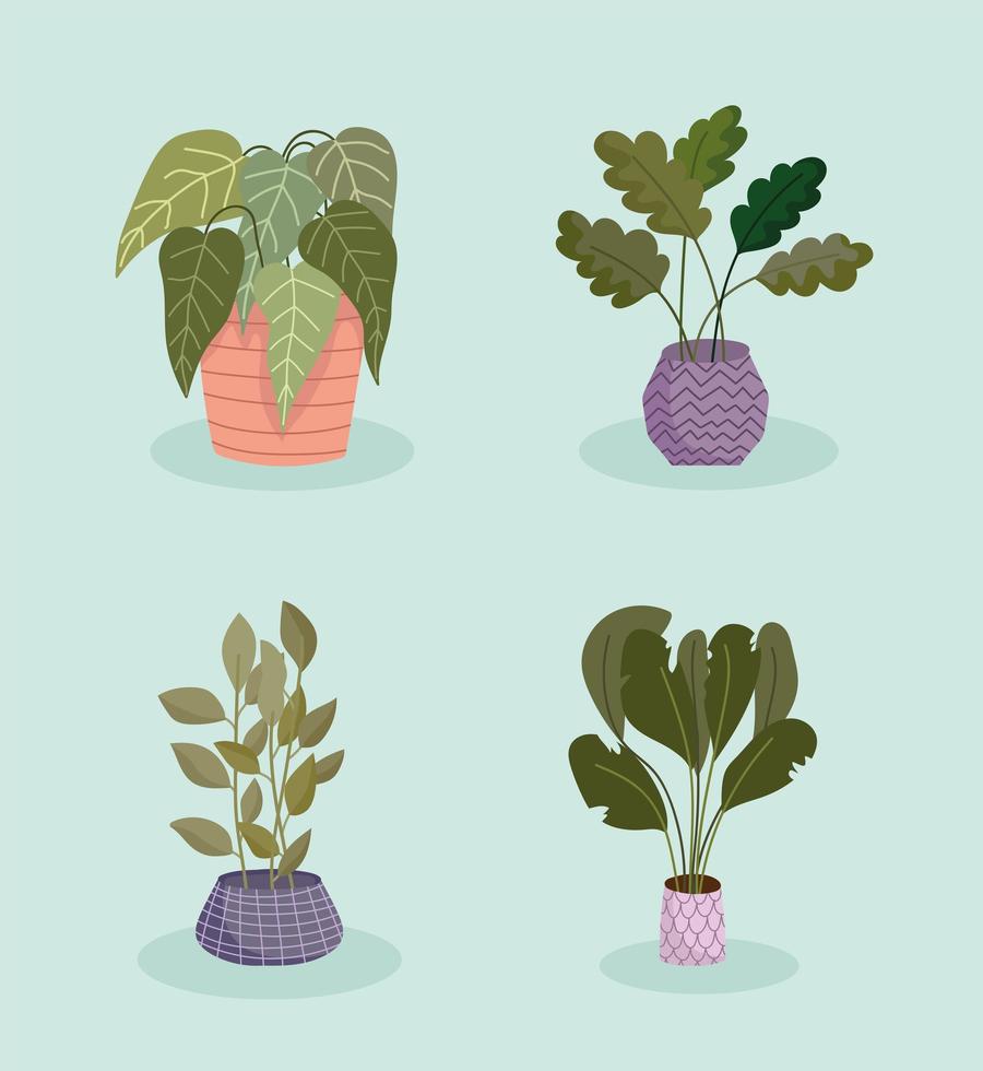 conjunto de plantas en maceta vector