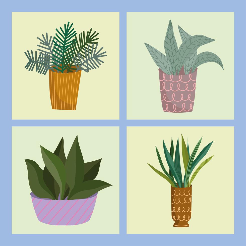 conjunto de plantas de interior vector