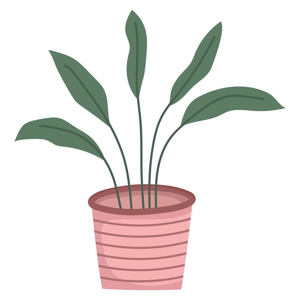 plant in pot vector