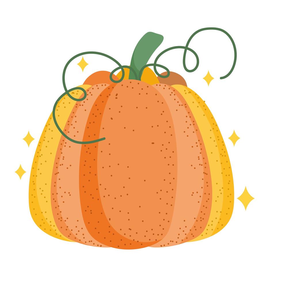 pumpkin vegetable cartoon vector