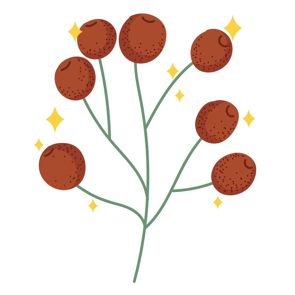 branch with nuts vector