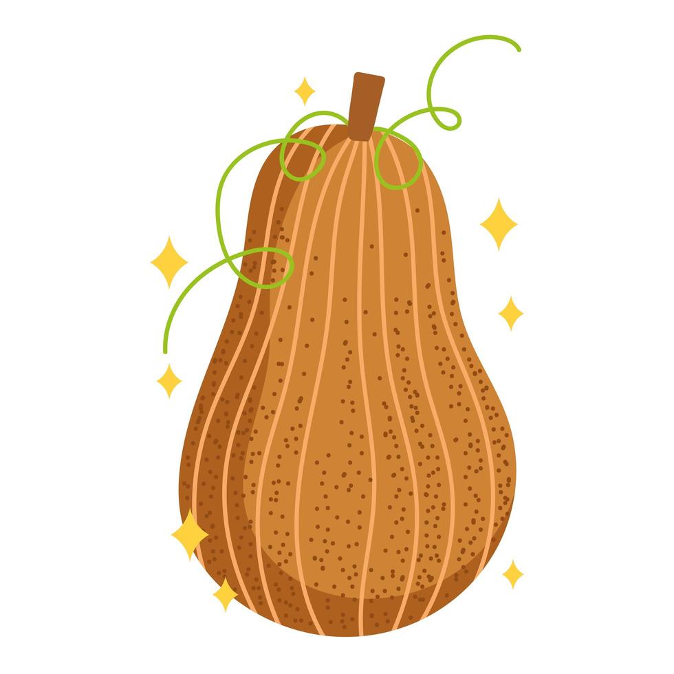 pumpkin vegetable cartoon vector
