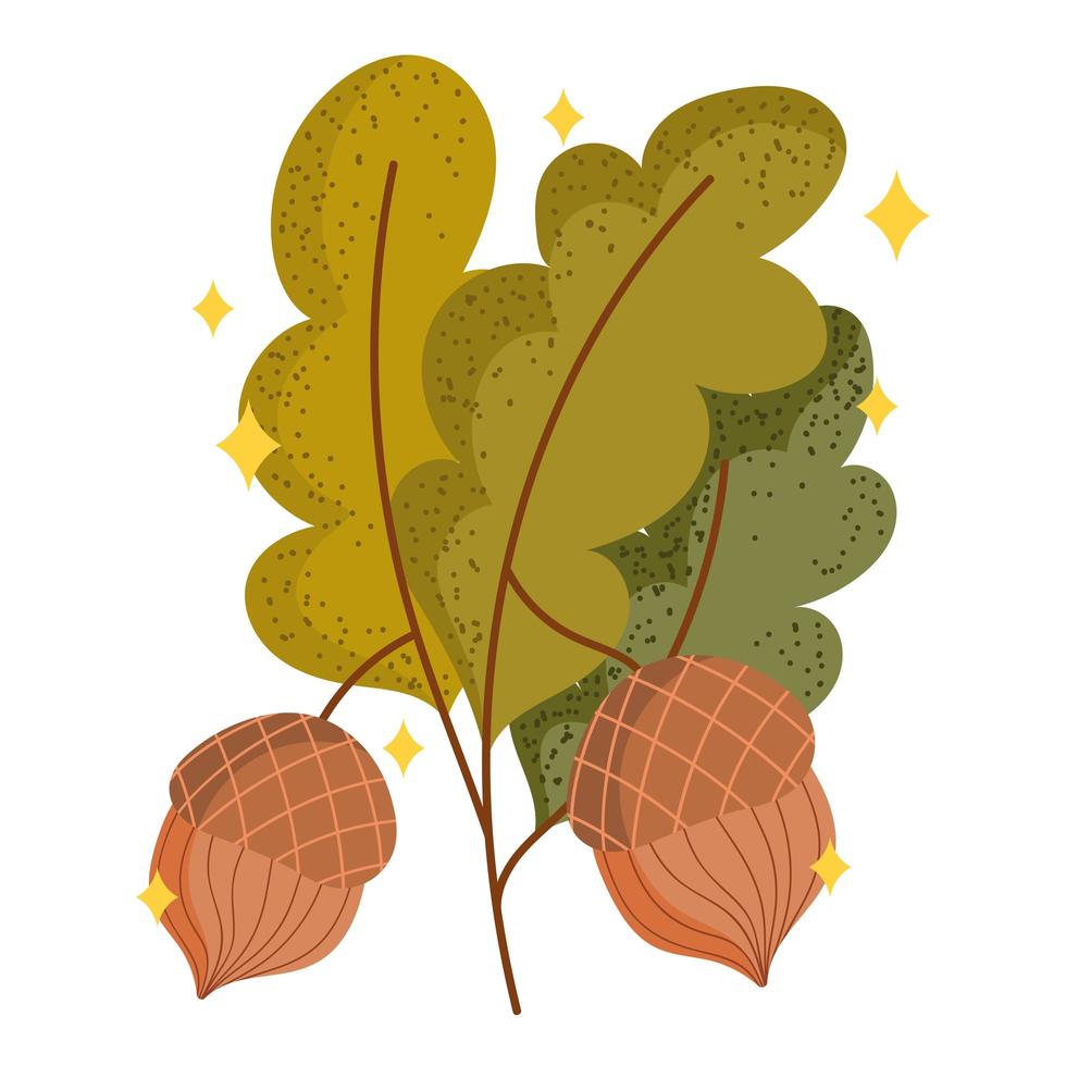 acorn and leaves vector