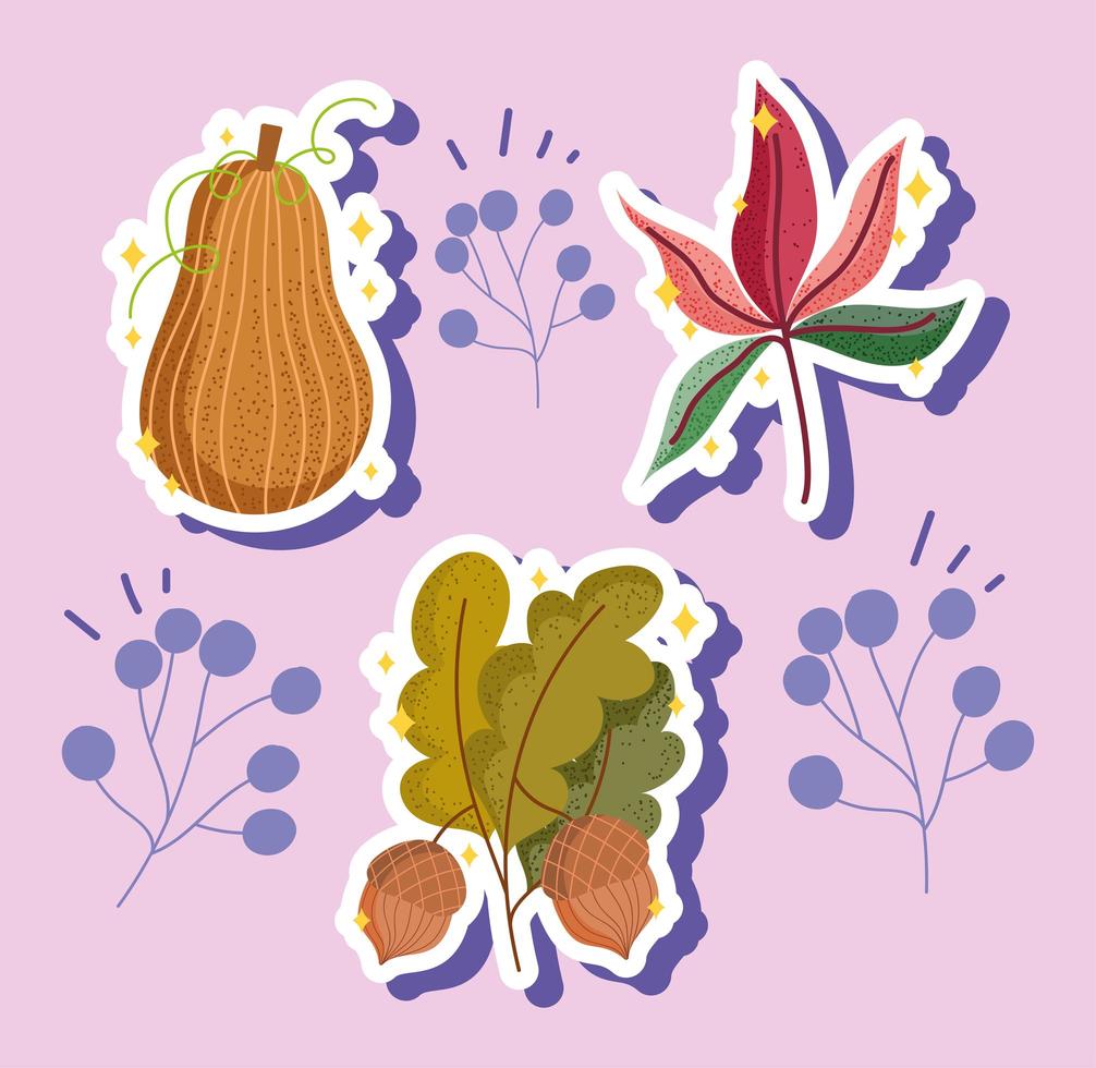 autumn acorn and leaf vector