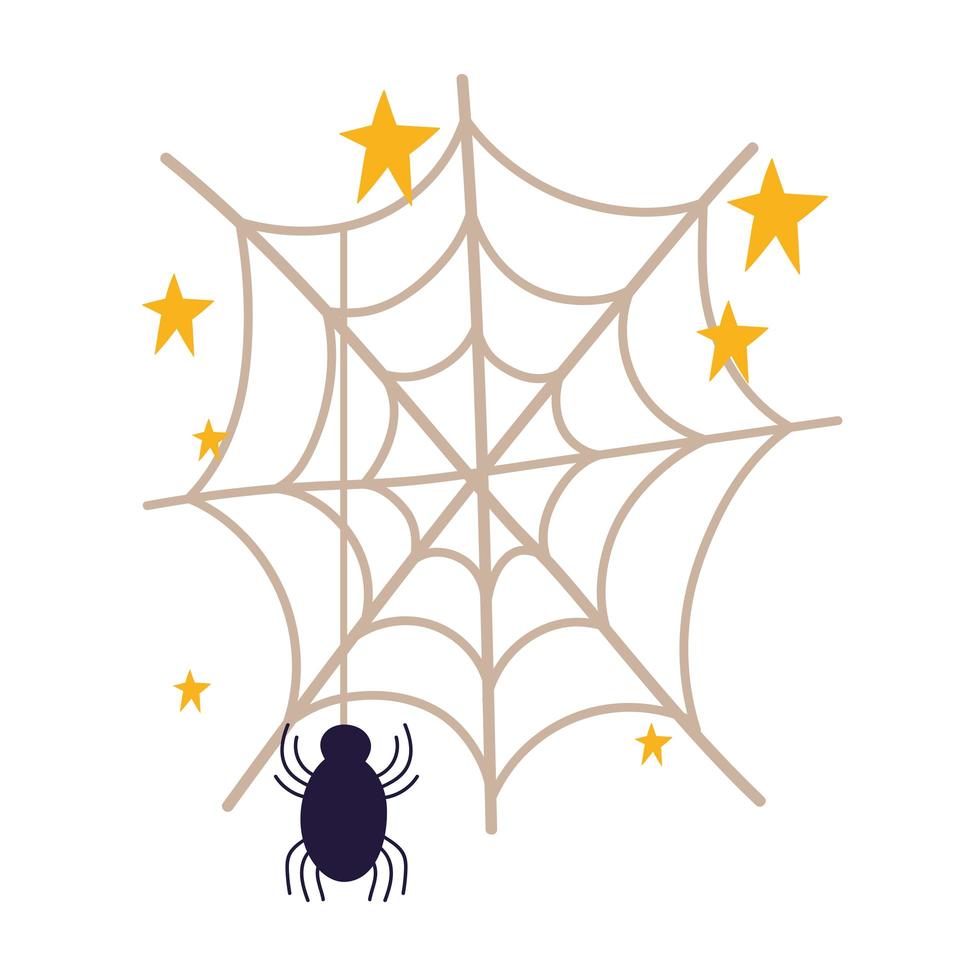 spider in the spiderweb vector