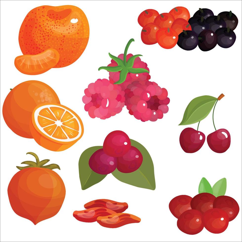 Set of colorful cartoon fruit icons vector