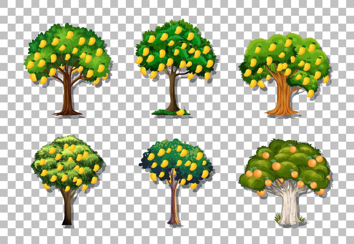 Conjunto de variedad de árboles de mango en el fondo de la cuadrícula vector