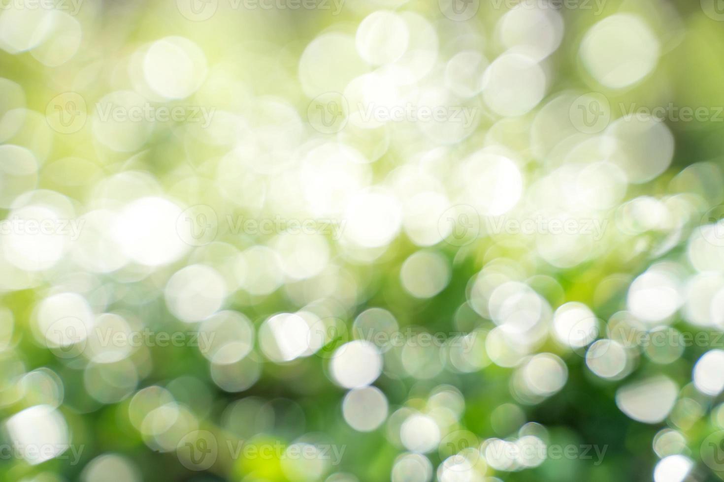 hoja de bokeh con luz solar, uso de fondo. foto