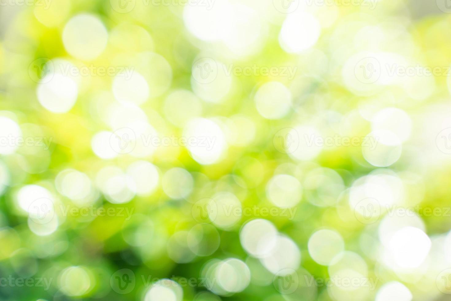 Bokeh leaf with sunlight, use for background. photo