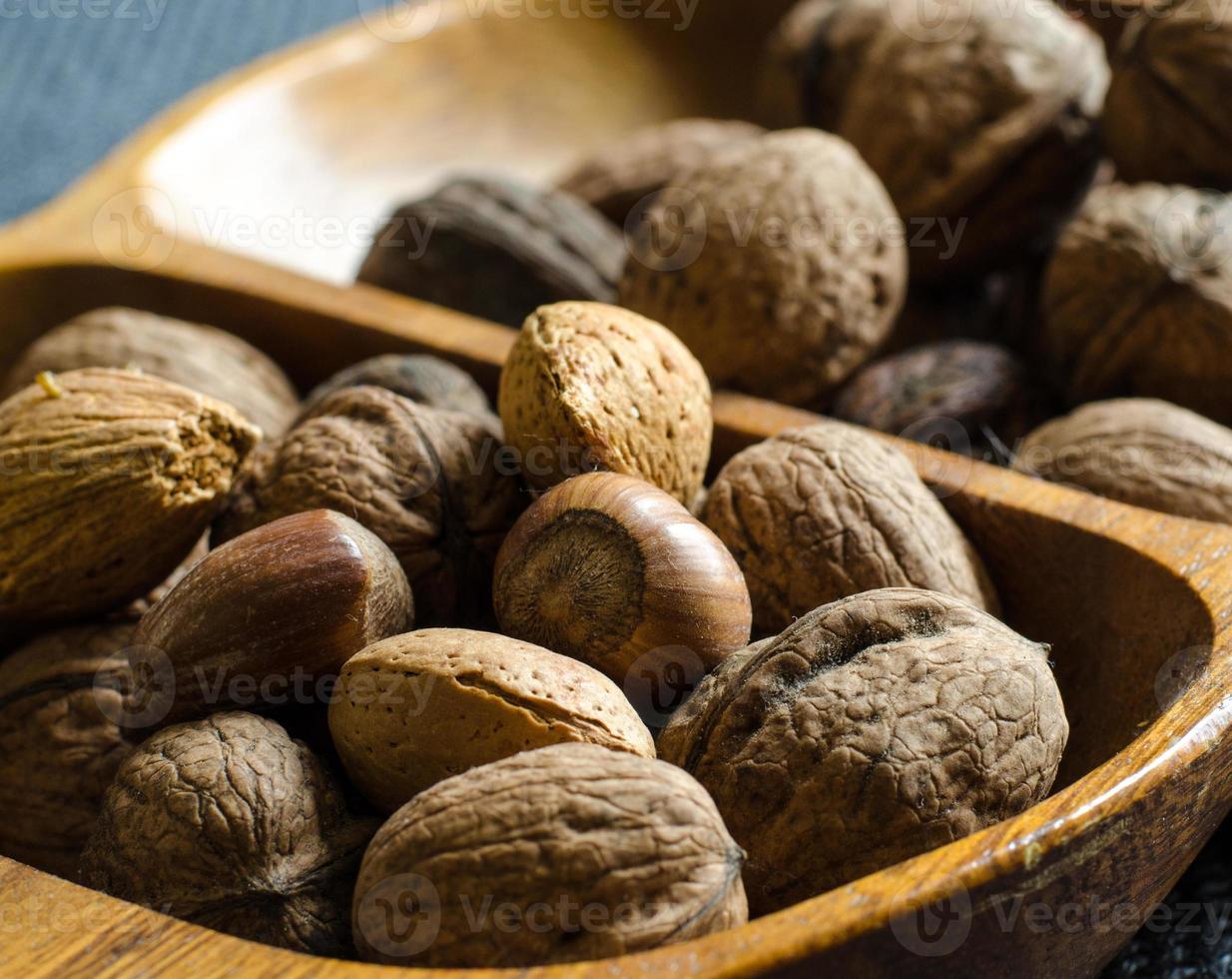 In-shell nuts in a olive tree pot photo