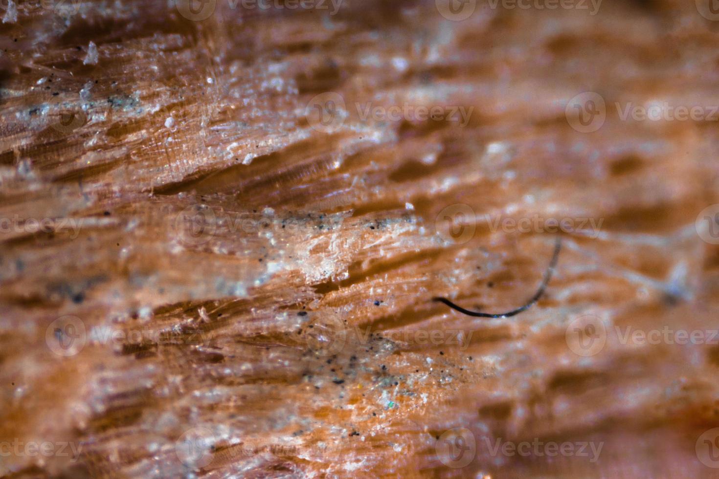 Pencil tip under the microscope 3679754 Stock Photo at Vecteezy