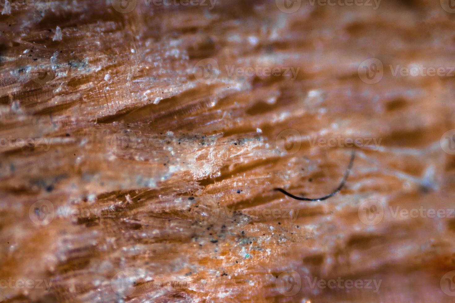 Pencil tip under the microscope photo