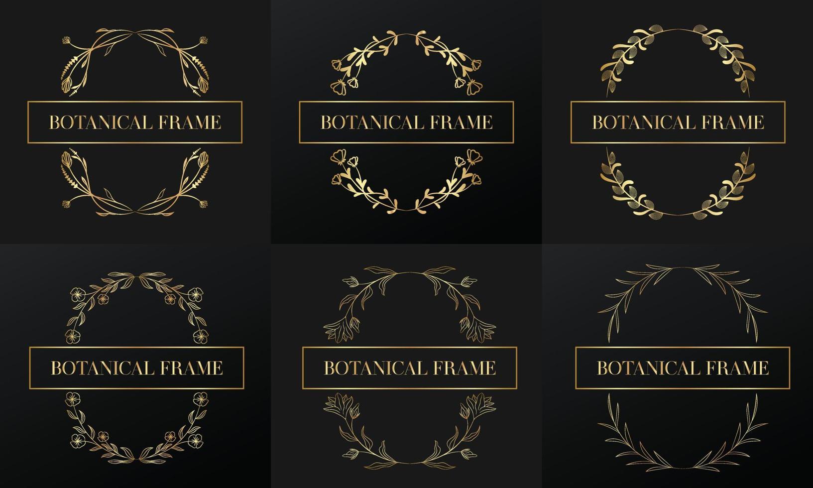 hand drawn golden botanical and floral frame for botanical logo vector