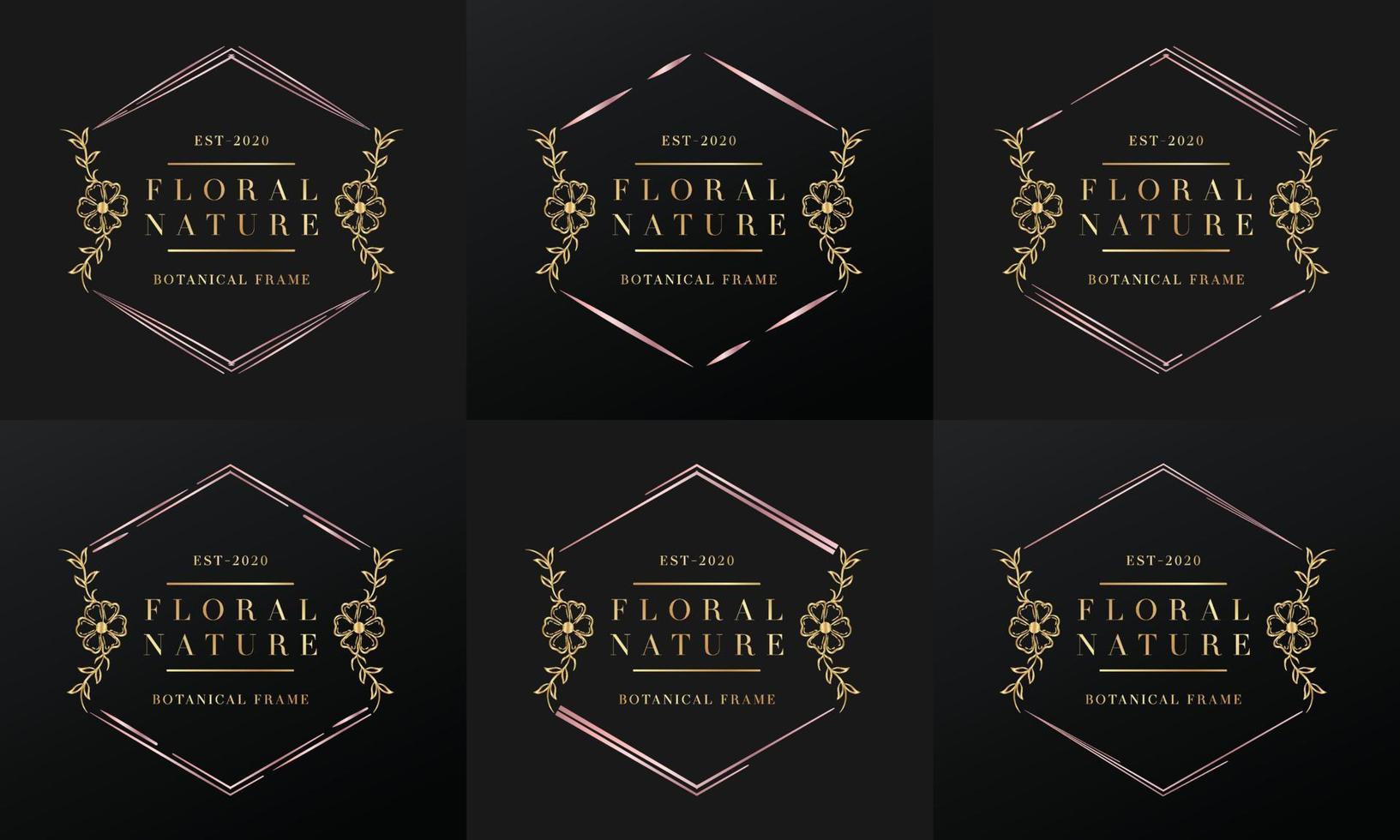 hand drawn golden botanical and floral frame for botanical logo vector