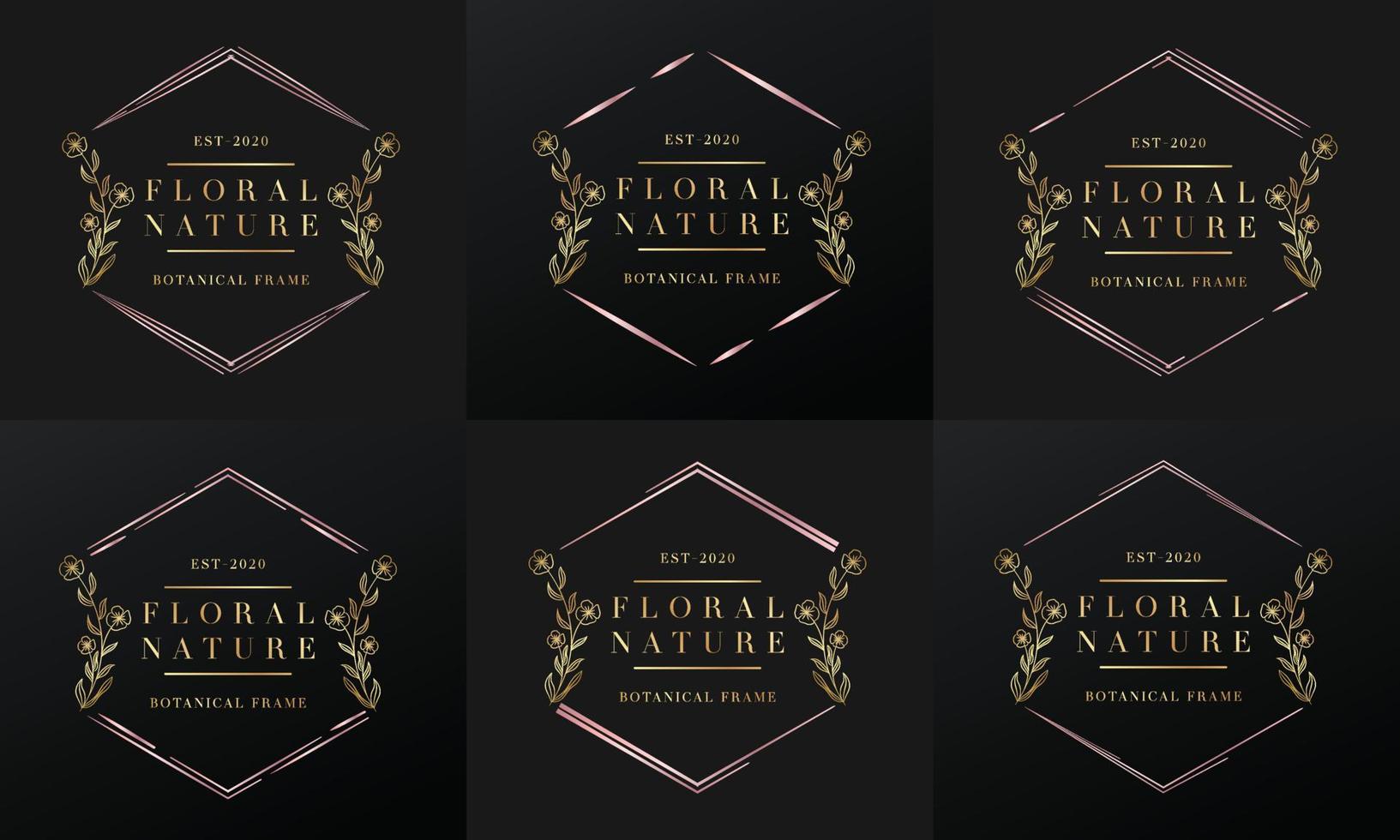 hand drawn golden botanical and floral frame for botanical logo vector