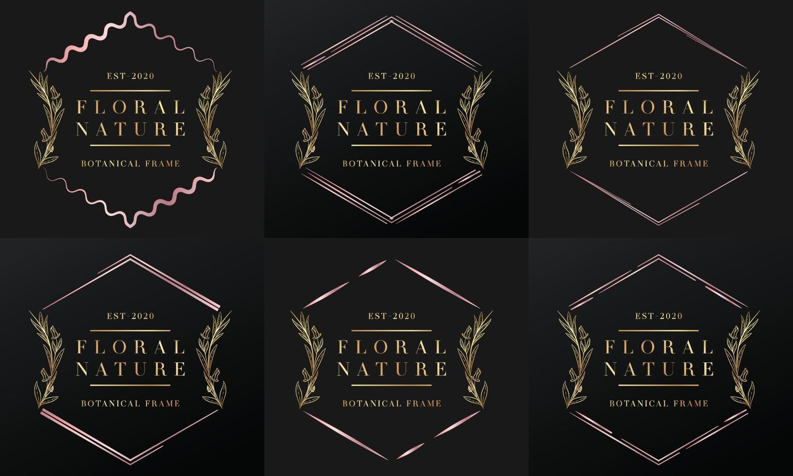 hand drawn golden botanical and floral frame for botanical logo vector