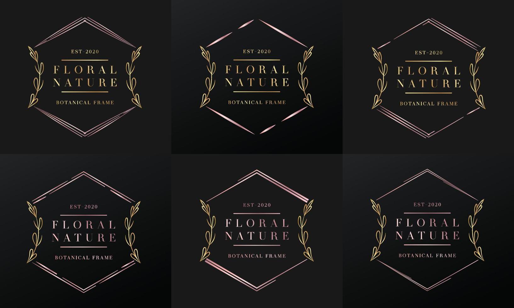 hand drawn golden botanical and floral frame for botanical logo vector