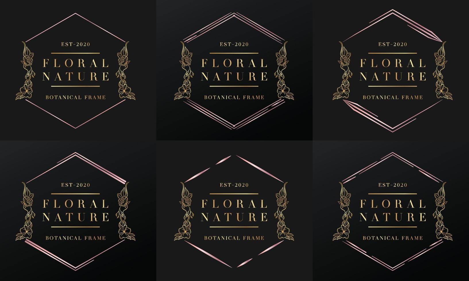 hand drawn golden botanical and floral frame for botanical logo vector