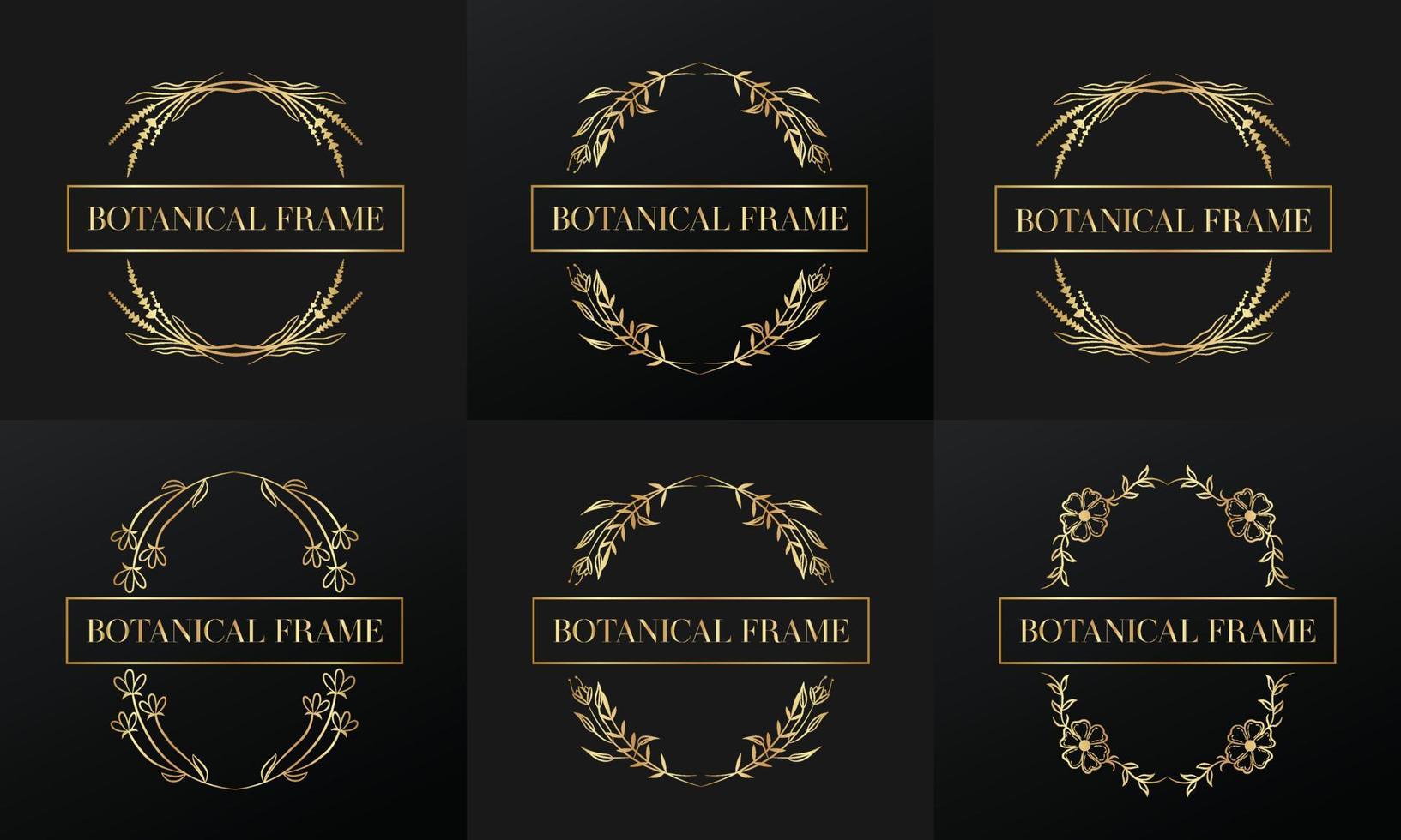 hand drawn golden botanical and floral frame for botanical logo vector