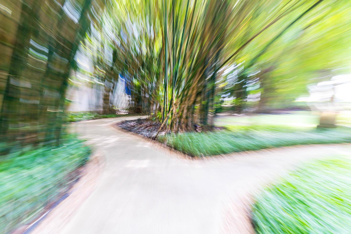 Abstract blur walkway in bamboo garden photo