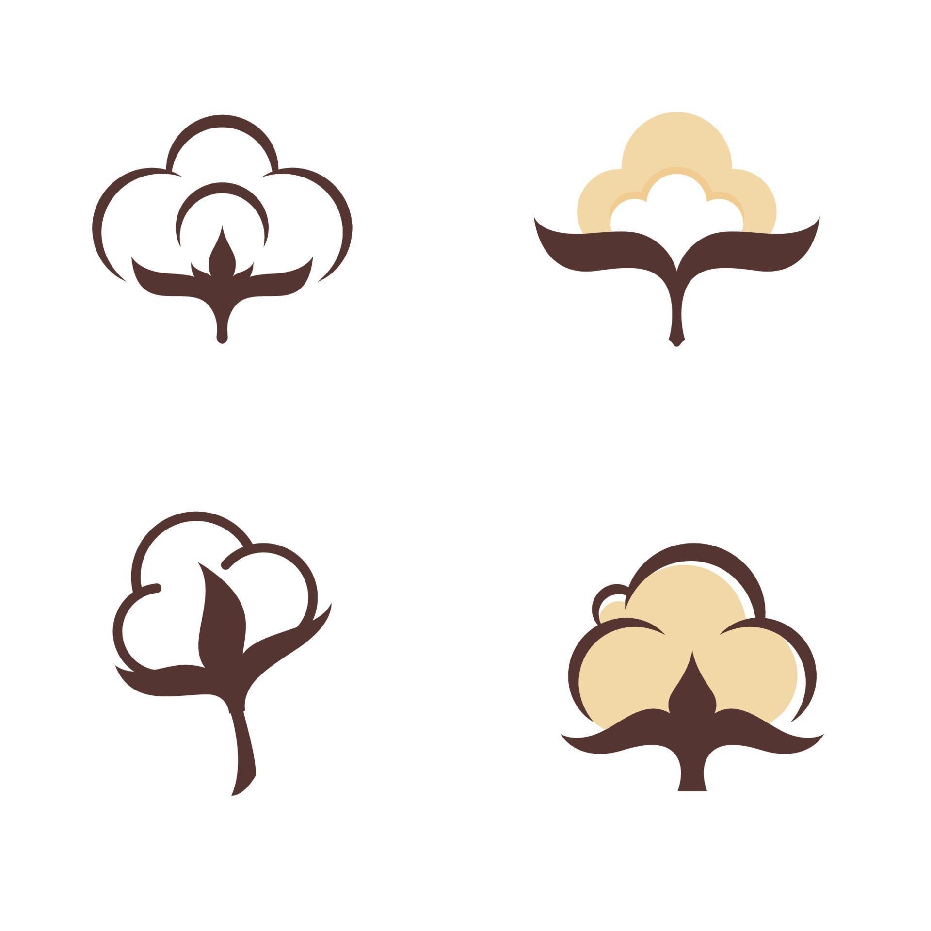 Cotton flower vector icon template 3681958 Vector Art at Vecteezy