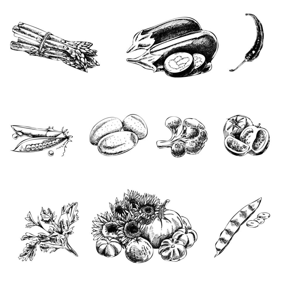 vector dibujado a mano ilustración de acción de gracias. estilo vintage. menú de comida retro. boceto vintage.