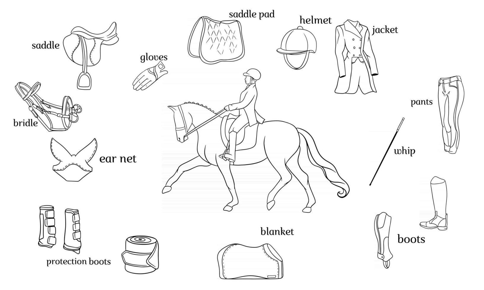 Infografía de deporte ecuestre arnés de caballos y equipo de jinete en el centro de un jinete a caballo vector