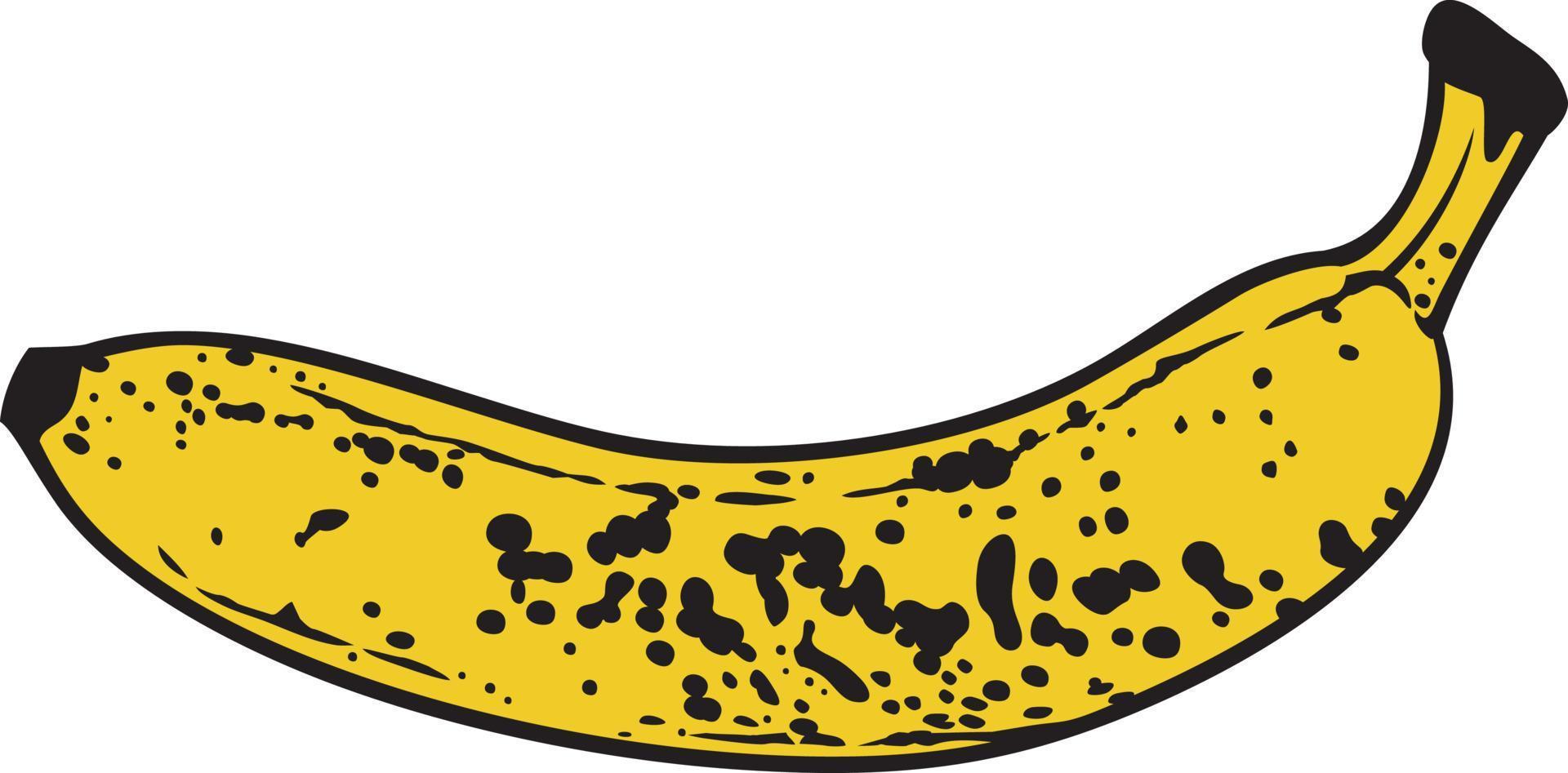 Old Rotten Banana with Dark Spots vector