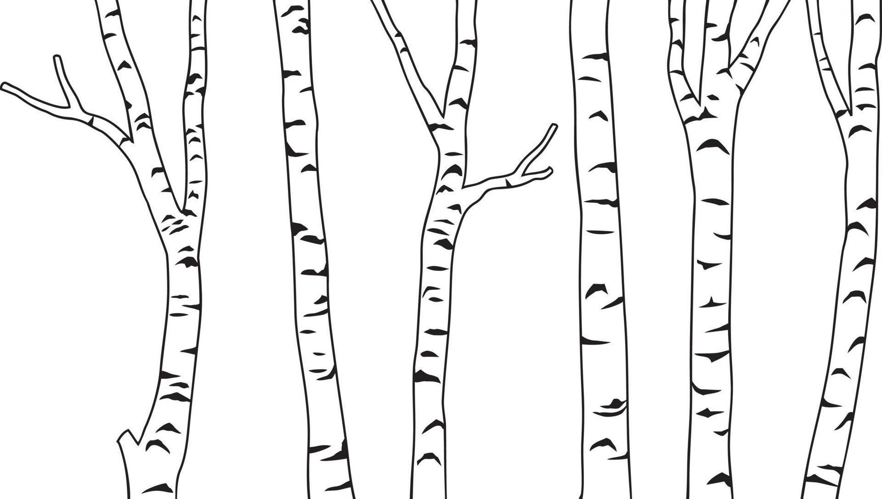 Birch Tree Black and White vector