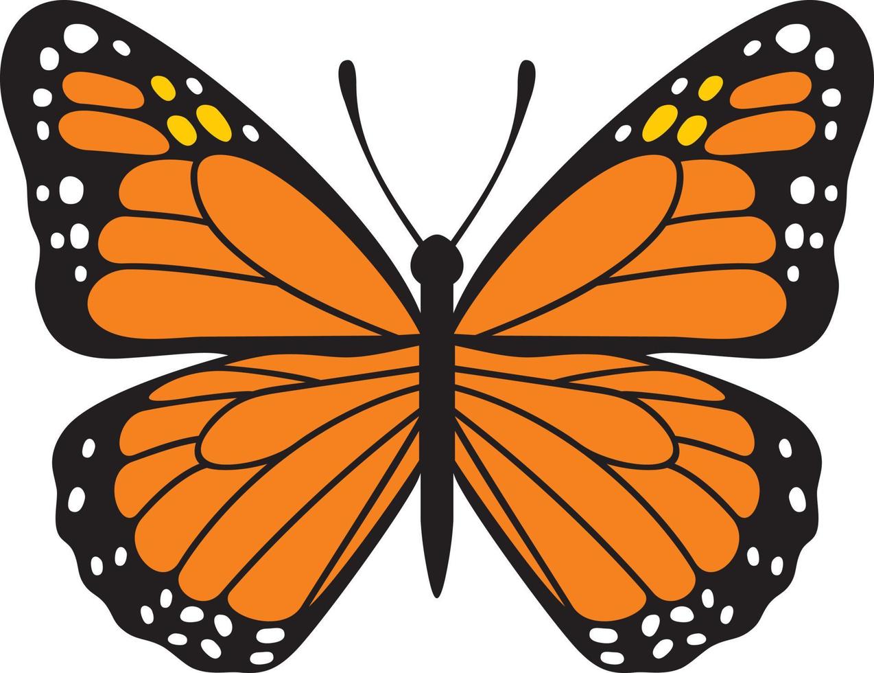 Butterfly Insect Color vector