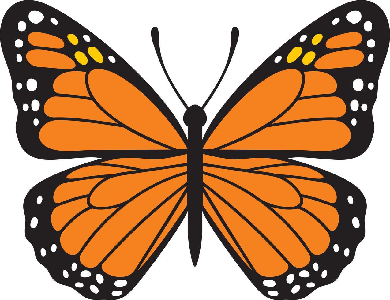 Butterfly Insect Color vector